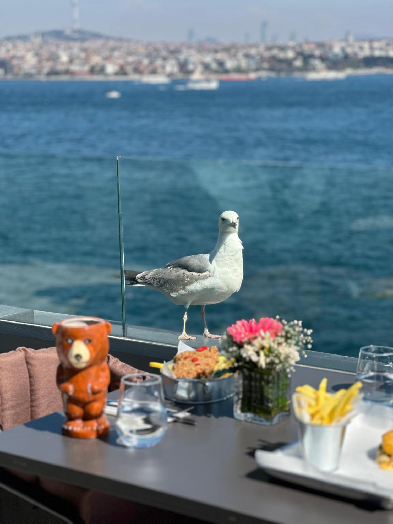 Pera Bosphorus Hotel Istanbul Ngoại thất bức ảnh